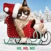 mandylee337